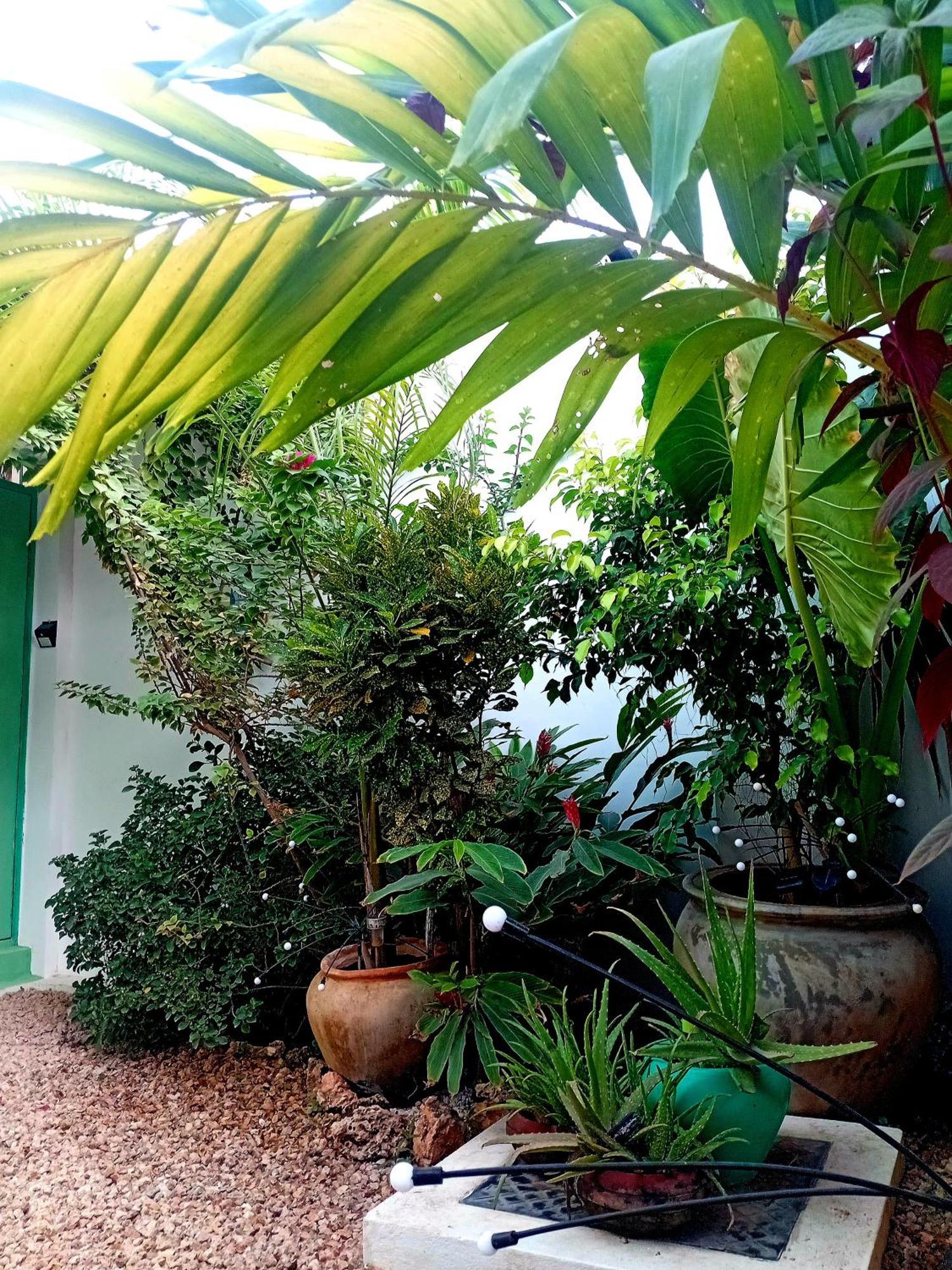 Coco Hause Accommodatie bij particulieren