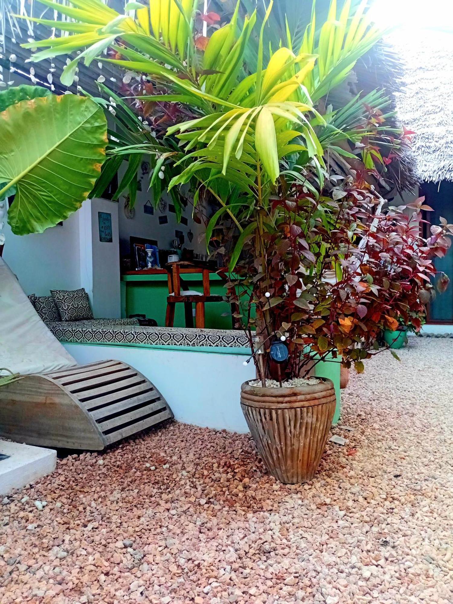Coco Hause Accommodatie bij particulieren