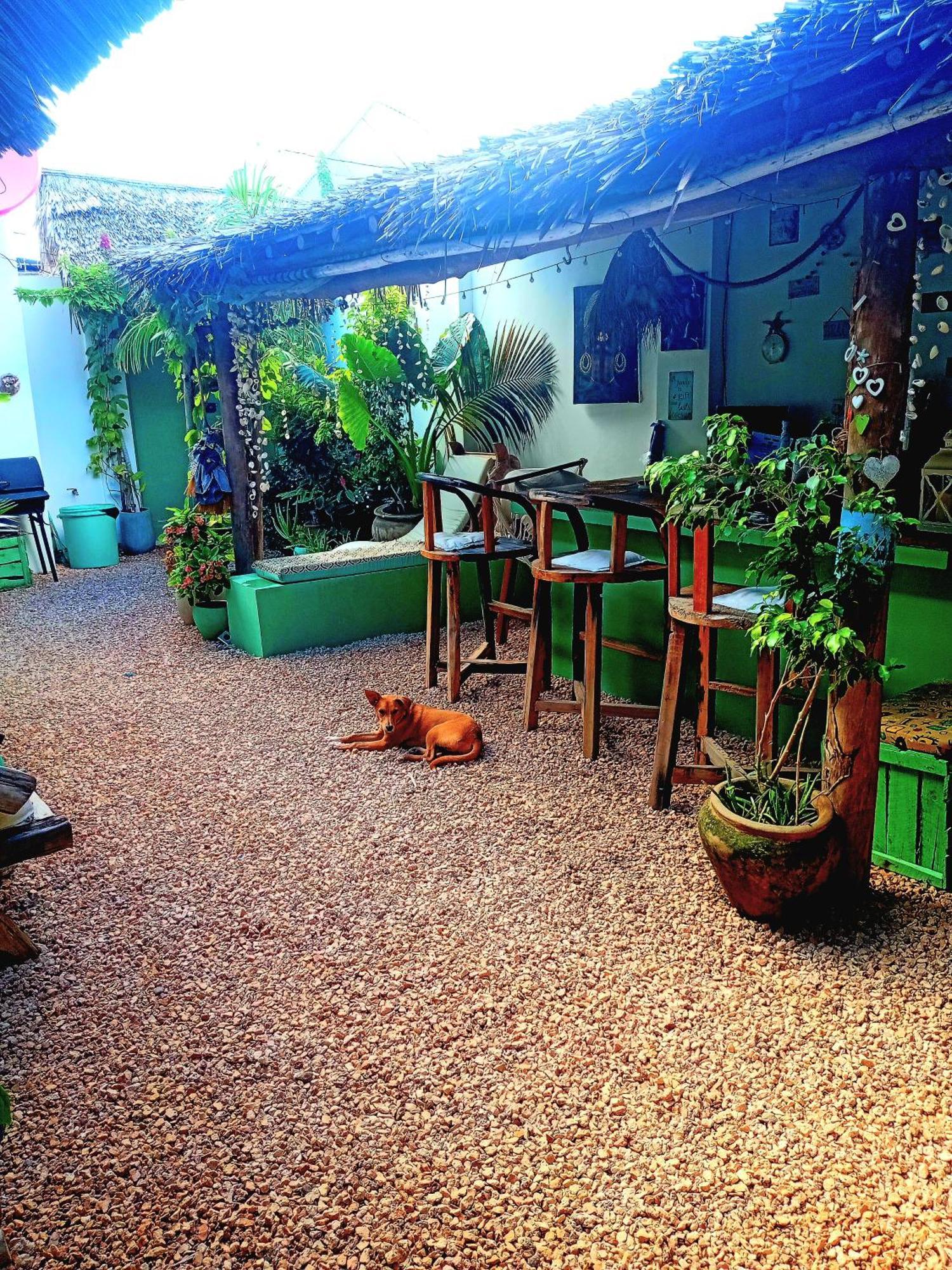 Coco Hause Accommodatie bij particulieren *